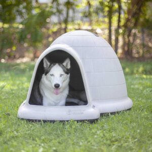 Indigo Insulated Dog House