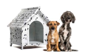 Heated Dog Houses